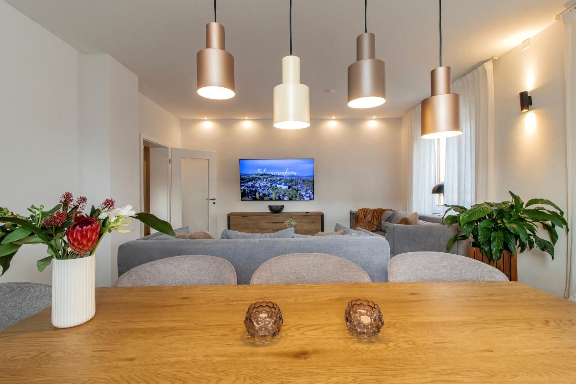 Stilvolles City-Apartment I Netflix I Wlan L Stellplatz I Zentral Schwarzenberg  Ngoại thất bức ảnh